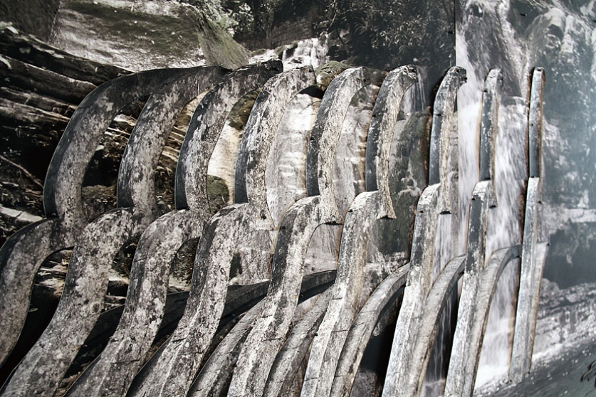 http://www.passport.mirunadragan.com/files/gimgs/th-6_IMG_2473_Xilitla_W.jpg